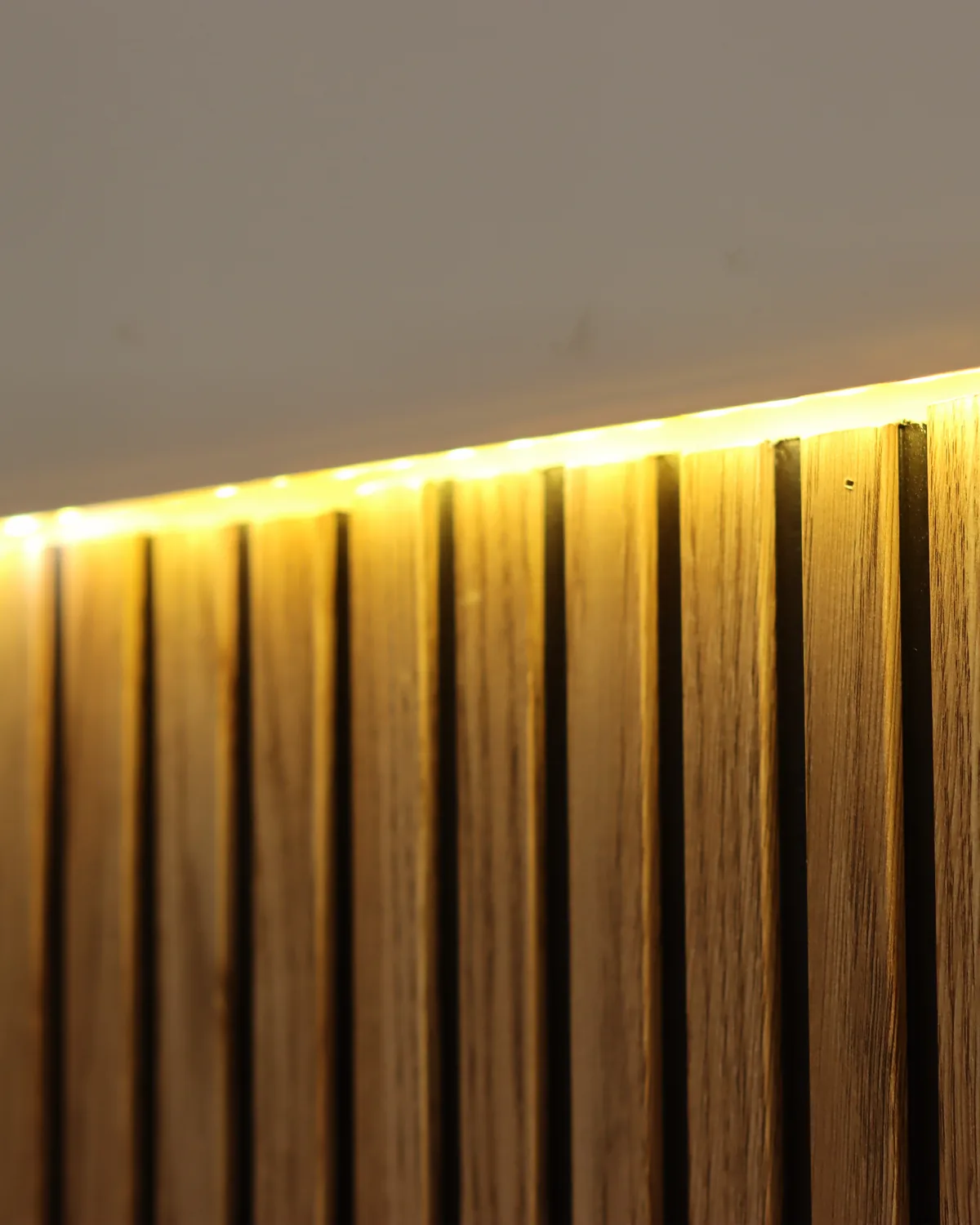 Detalle del interior de Valencia Dental